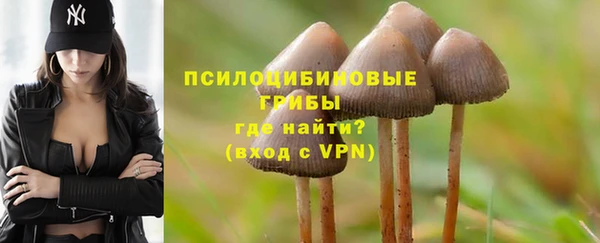 mdpv Лихославль