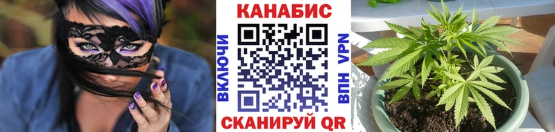 Бошки Шишки семена Жирновск
